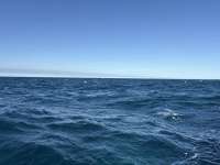 Great day of scuba diving in Key Largo with Rainbow Reef on eagle ray alley tropical serenity 2025 03 11 r17674 1