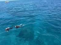 Great day of scuba diving in Key Largo with Rainbow Reef on nine channel tropical legend 2025 03 26 r17760 1
