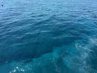 Great day of scuba diving in Key Largo with Rainbow Reef on nine channel tropical legend 2025 03 26 r17760 3