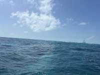 Great day of scuba diving in Key Largo with Rainbow Reef on north star tropical odyssey 2025 03 15 r17698 1