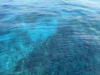 Great day of scuba diving in Key Largo with Rainbow Reef on permit ledges tropical legend 2025 03 25 r17752 1