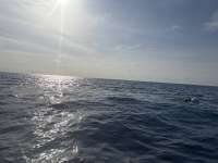 Great day of scuba diving in Key Largo with Rainbow Reef on uscgc duane tropical odyssey 2025 03 23 r17741 1