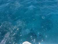 Great day of scuba diving in Key Largo with Rainbow Reef on benwood wreck tropical destiny 2025 05 15 r18024 1
