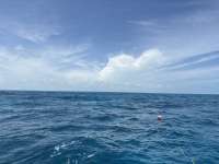 Great day of scuba diving in Key Largo with Rainbow Reef on benwood wreck tropical odyssey 2025 05 03 r17964 1