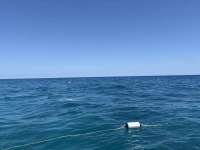 Great day of scuba diving in Key Largo with Rainbow Reef on benwood wreck tropical serenity 2025 05 19 r18064 1
