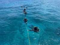 Great day of scuba diving in Key Largo with Rainbow Reef on conch ledge tropical destiny 2025 05 21 r18077 1