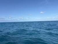 Great day of scuba diving in Key Largo with Rainbow Reef on crf nursery tropical adventure 2025 05 20 r18067 1