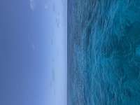 Great day of scuba diving in Key Largo with Rainbow Reef on drift french tropical destiny 2025 05 16 r18039 2