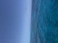 Great day of scuba diving in Key Largo with Rainbow Reef on drift french tropical destiny 2025 05 16 r18039 4