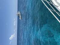 Great day of scuba diving in Key Largo with Rainbow Reef on eagle ray alley tropical legend 2025 05 24 r18106 1
