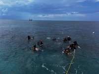 Great day of scuba diving in Key Largo with Rainbow Reef on mikes wreck tropical serenity 2025 05 23 r18096 1