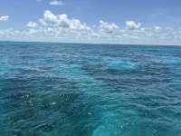 Great day of scuba diving in Key Largo with Rainbow Reef on minnow cave tropical adventure 2025 05 09 r18002 1