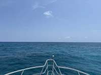 Great day of scuba diving in Key Largo with Rainbow Reef on snapper ledge tropical adventure 2025 05 04 r17970 1