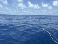 Great day of scuba diving in Key Largo with Rainbow Reef on spiegel grove tropical legend 2025 05 16 r18035 1