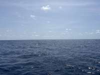 Great day of scuba diving in Key Largo with Rainbow Reef on spiegel grove tropical odyssey 2025 05 17 r18045 1