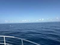 Great day of scuba diving in Key Largo with Rainbow Reef on spiegel grove tropical odyssey 2025 05 24 r18099 1