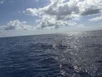 Great day of scuba diving in Key Largo with Rainbow Reef on spiegel grove tropical serenity 2025 05 18 r18057 1
