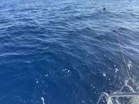 Great day of scuba diving in Key Largo with Rainbow Reef on uscgc bibb tropical destiny 2025 05 21 r18074 1