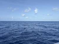 Great day of scuba diving in Key Largo with Rainbow Reef on uscgc duane tropical odyssey 2025 05 17 r18042 1