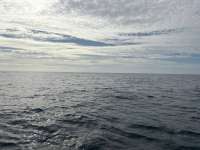 Great day of scuba diving in Key Largo with Rainbow Reef on benwood wreck tropical serenity 2025 11 07 r19162 1