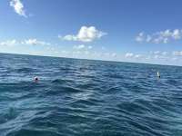 Great day of scuba diving in Key Largo with Rainbow Reef on christ statue tropical odyssey 2025 11 21 r19231 1
