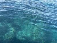Great day of scuba diving in Key Largo with Rainbow Reef on christ statue tropical serenity 2025 11 07 r19167 1