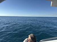 Great day of scuba diving in Key Largo with Rainbow Reef on christ statue tropical serenity 2025 11 16 r19210 1