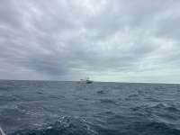 Great day of scuba diving in Key Largo with Rainbow Reef on eagle ray alley tropical serenity 2025 11 28 r19261 1