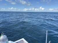 Great day of scuba diving in Key Largo with Rainbow Reef on french reef tropical legend 2025 11 09 r19181 1