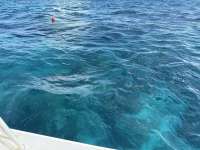 Great day of scuba diving in Key Largo with Rainbow Reef on molasses reef tropical serenity 2025 11 26 r19254 1
