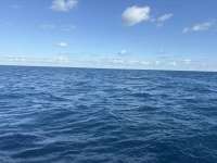 Great day of scuba diving in Key Largo with Rainbow Reef on spiegel grove tropical odyssey 2025 11 21 r19227 1