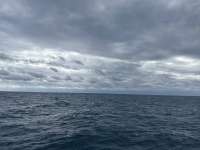 Great day of scuba diving in Key Largo with Rainbow Reef on benwood wreck tropical odyssey 2025 10 14 r19082 1