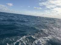 Great day of scuba diving in Key Largo with Rainbow Reef on benwood wreck tropical serenity 2025 10 19 r19108 1