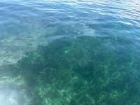 Great day of scuba diving in Key Largo with Rainbow Reef on christ statue tropical odyssey 2025 10 06 r19025 1