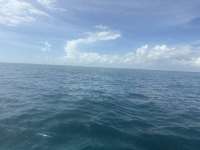 Great day of scuba diving in Key Largo with Rainbow Reef on christ statue tropical odyssey 2025 10 28 r19133 1
