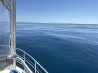 Great day of scuba diving in Key Largo with Rainbow Reef on drift conch wall tropical odyssey 2025 10 01 r18978 1
