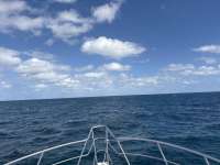 Great day of scuba diving in Key Largo with Rainbow Reef on eagle ray alley tropical adventure 2025 10 18 r19106 1