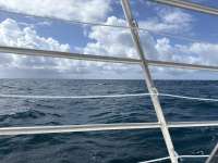 Great day of scuba diving in Key Largo with Rainbow Reef on eagle ray alley tropical legend 2025 10 03 r18991 1