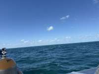 Great day of scuba diving in Key Largo with Rainbow Reef on fire coral cave tropical legend 2025 10 17 r19099 1