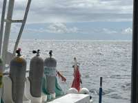 Great day of scuba diving in Key Largo with Rainbow Reef on molasses reef tropical adventure 2025 10 16 r19094 1