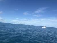 Great day of scuba diving in Key Largo with Rainbow Reef on permit ledges tropical destiny 2025 10 11 r19058 1