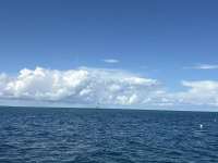 Great day of scuba diving in Key Largo with Rainbow Reef on permit ledges tropical odyssey 2025 10 07 r19034 1