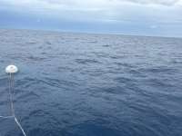 Great day of scuba diving in Key Largo with Rainbow Reef on spiegel grove tropical adventure 2025 10 10 r19049 1