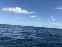 Great day of scuba diving in Key Largo with Rainbow Reef on spiegel grove tropical adventure 2025 10 18 r19102 1