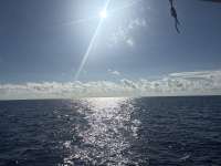 Great day of scuba diving in Key Largo with Rainbow Reef on spiegel grove tropical odyssey 2025 10 13 r19075 1
