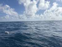 Great day of scuba diving in Key Largo with Rainbow Reef on spiegel grove tropical odyssey 2025 10 27 r19130 1