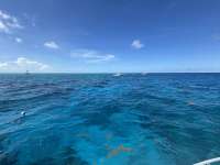 Great day of scuba diving in Key Largo with Rainbow Reef on benwood wreck tropical destiny 2025 09 22 r18893 1