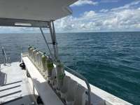 Great day of scuba diving in Key Largo with Rainbow Reef on benwood wreck tropical serenity 2025 09 20 r18861 1