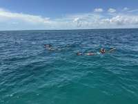 Great day of scuba diving in Key Largo with Rainbow Reef on christ statue tropical adventure 2025 09 02 r18761 1