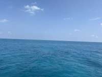 Great day of scuba diving in Key Largo with Rainbow Reef on christ statue tropical odyssey 2025 09 09 r18795 1